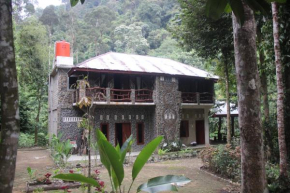 Rinte Green Village & Bukit Lawang Jungle Trekking